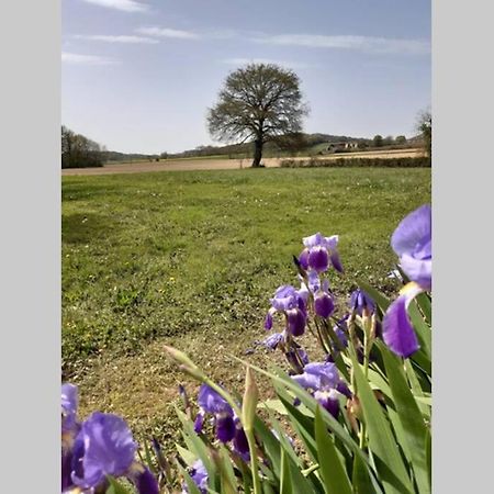 Gite Du Clos Baste Moncaup  Dış mekan fotoğraf