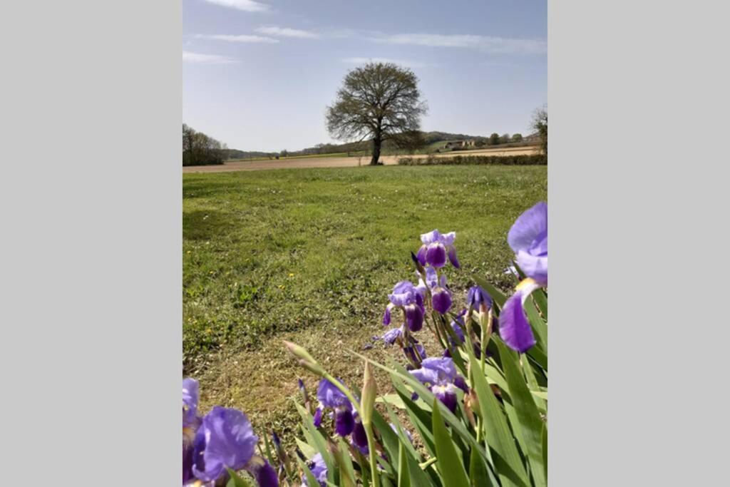Gite Du Clos Baste Moncaup  Dış mekan fotoğraf